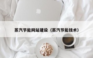 百色蒸汽节能网站建设（蒸汽节能技术）